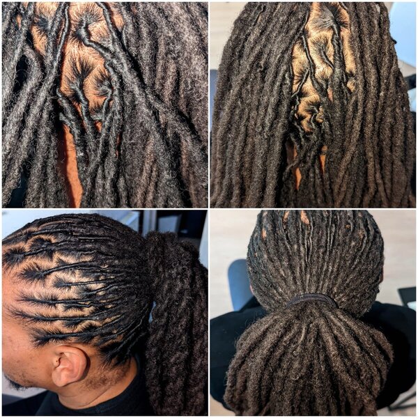 Reprise racines Twist